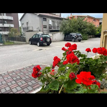 Casa Da Rizz